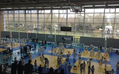 CHAMPIONNATS DE FRANCE U.N.S.S. de JUDO 2017 à Grenoble